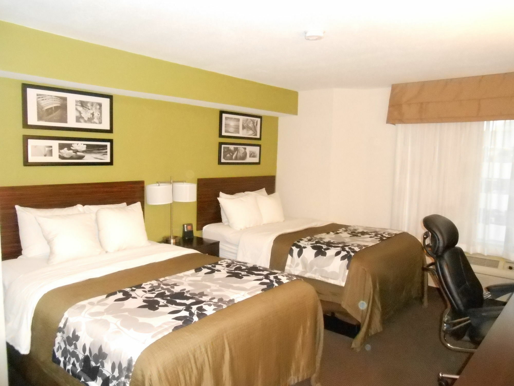 Surestay Plus By Best Western Mesa Superstition Springs Eksteriør billede