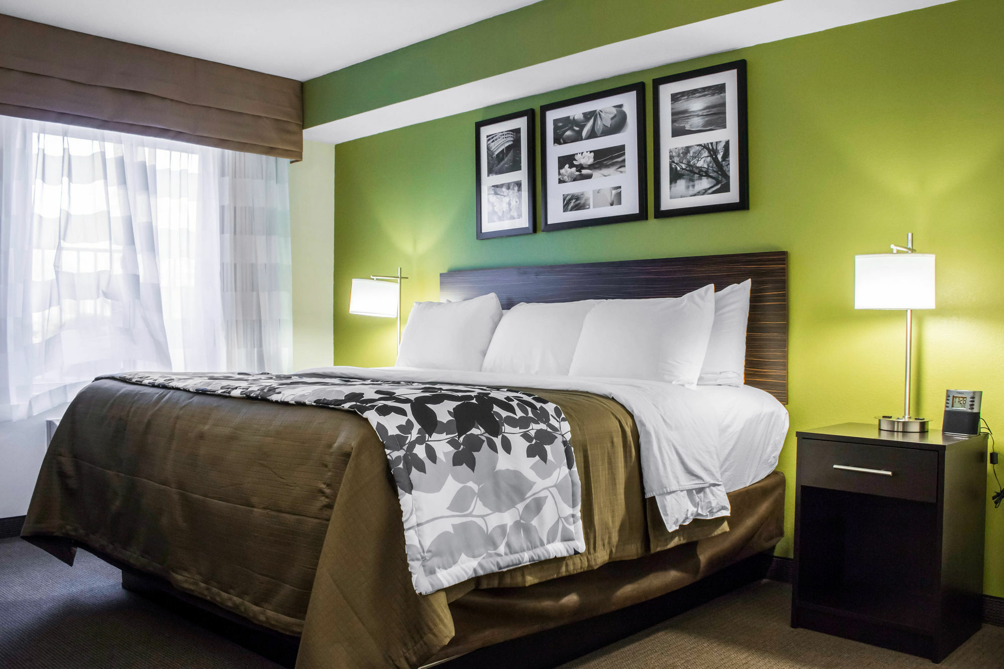 Surestay Plus By Best Western Mesa Superstition Springs Eksteriør billede